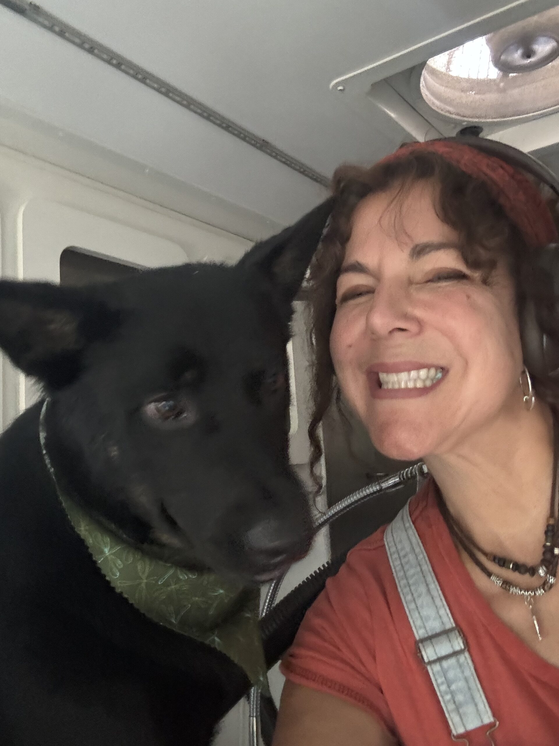 Hades - Dog of the Month Cash